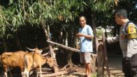 Ketahanan Pangan Berbasis Komunitas di Dusun Melase