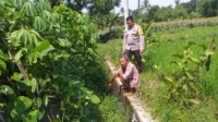 WhatsApp Image 2025-10-24 at 15.38.21_result Petani Jagaraga Didorong Polri Tanam Padi dan Jagung untuk Pangan Lokal