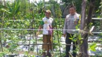 WhatsApp Image 2025-11-05 at 11.34.13 Sinergi Polri-Warga: Pekarangan Rumah Jadi Kunci Mandiri Pangan