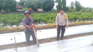 Aksi Nyata Bhabinkamtibmas Lombok Barat Dukung Ketahanan Pangan Nasional