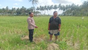 Pesan Polri: Lahan Kosong Adalah Kunci Ketahanan Pangan Desa