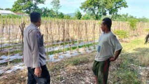 Dukung Program Pangan, Polres Lombok Barat Dorong Warga Bertani Mandiri