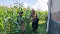 Optimalisasi Lahan Kosong Desa Bagik Polak Barat untuk Ketahanan Pangan
