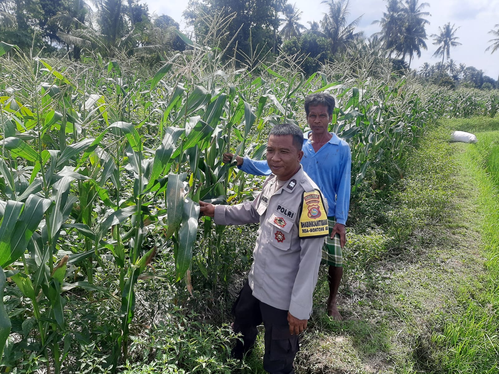Bhabinkamtibmas Dorong Swasembada Pangan di Desa Montong Are