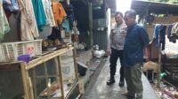 Pekarangan Jadi Lumbung: Inovasi Pangan di Desa Jagaraga