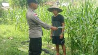 Bhabinkamtibmas Taman Baru Giat Dorong Pemanfaatan Lahan Kosong