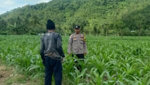 Kunjungan DDS: Ketahanan Pangan dan Kamtibmas Jadi Fokus Polisi Sekotong