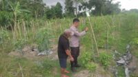 Kolaborasi Warga dan Polisi Dorong Pemanfaatan Pekarangan di Labuapi
