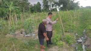 Kolaborasi Warga dan Polisi Dorong Pemanfaatan Pekarangan di Labuapi