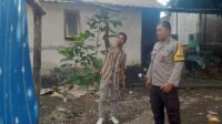 Kuripan Selatan Gerakkan Pekarangan Mandiri untuk Ketahanan Pangan