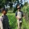 Pekarangan Bergizi, Inisiatif Ketahanan Pangan di Dasan Geres