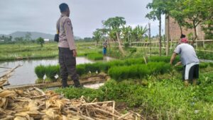 Polri Pantau Langsung Tanam Padi di Desa Lelede, Lombok Barat
