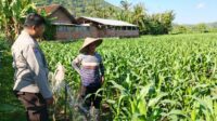 Polri dan Petani Bersinergi Wujudkan Ketahanan Pangan di Lembar, Lombok Barat
