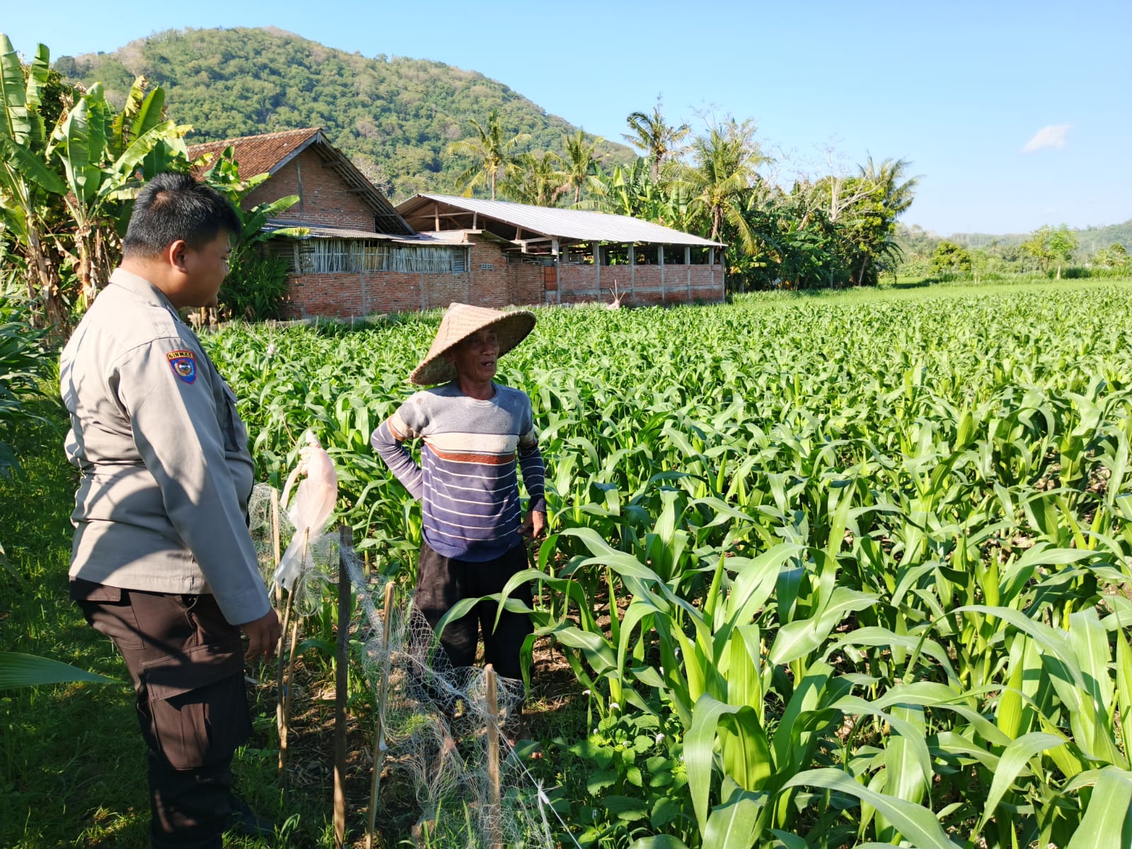 Polri dan Petani Bersinergi Wujudkan Ketahanan Pangan di Lembar, Lombok Barat