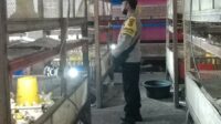 Bhabinkamtibmas Ombe Baru Dorong Ketahanan Pangan Lewat Kunjungan ke Peternak Ayam