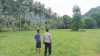 Bhabinkamtibmas Cendi Manik Dorong Ketahanan Pangan Lewat Kunjungan ke Petani