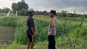 Polri Bina Petani Kuripan Utara Wujudkan Kemandirian Pangan Keluarga