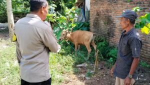 Sinergi Polri dan Warga Lembar Selatan Wujudkan Kemandirian Pangan Keluarga