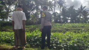 Polisi Ajak Warga Mareje Tanam Pangan Sendiri