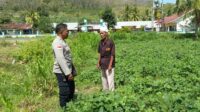 Kunjungi Petani di Sekotong, Polri Tekankan Pemanfaatan Lahan Demi Kedaulatan Pangan