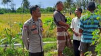 Peran Polisi di Tengah Sawah: Ketahanan Pangan Dimulai dari Dusun Rumak Barat