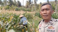 Bhabinkamtibmas Desa Batu Putih Dorong Pemanfaatan Lahan Petani di Dusun Tibu Baru