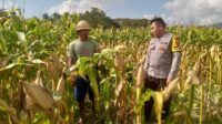 Bhabinkamtibmas Dorong Pemanfaatan Lahan untuk Ketahanan Pangan di Dusun Tambang Eleh