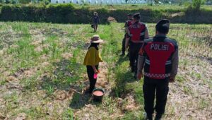 Polres Lombok Barat Dukung Ketahanan Pangan Lewat Patroli Humanis di Desa Kuripan