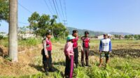 Polri Hadir Bantu Petani Jagung Wujudkan Swasembada di Lombok Barat