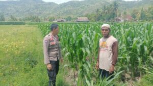 Sosialisasi Ketahanan Pangan di Dusun Pelabu: Polri Ajak Warga Manfaatkan Lahan Produktif