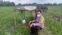 Sinergi Polri dan Petani di Dusun Tambang Eleh, Lombok Barat Wujudkan Desa Mandiri Pangan
