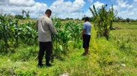 Ketahanan Pangan Diperkuat, Bhabinkamtibmas Desa Labuapi Ajak Warga Produktif