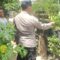Sinergi Polri dan Masyarakat Sekotong Perkuat Ketahanan Pangan dan Kamtibmas