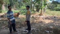 Sinergi Polsek Sekotong dan Warga Pelangan dalam Mewujudkan Kemandirian Pangan