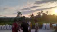 Jagung Petani Gerung Lolos Uji Kualitas, Siap Diserap Bulog NTB