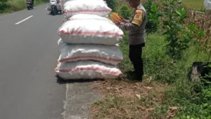 Peran Polisi di Balik Panen Jagung Sukses Petani Lombok Barat