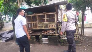 Motivasi Bhabinkamtibmas, Warga Nekat Bangun Kandang Ayam di Pekarangan