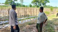 WhatsApp Image 2025-12-15 at 08.28.59 Dukung Program Pangan, Polres Lombok Barat Dorong Warga Bertani Mandiri