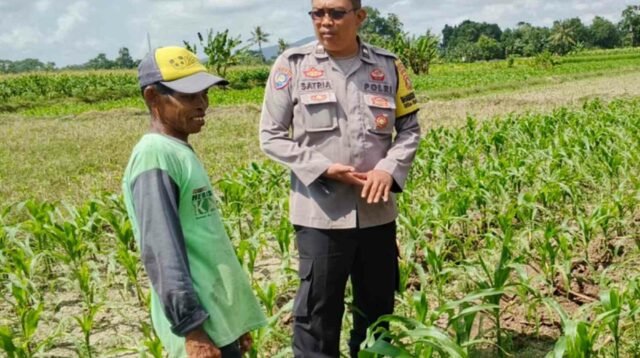 Polsek Labuapi Dukung Program Ketahanan Pangan