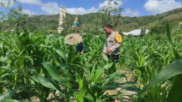 Langkah Polsek Gerung Perkuat Kemandirian Pangan